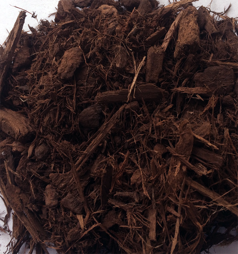 cedarbark